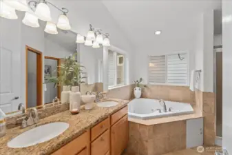 Primary bathroom with dual-sink vanity, granite countertops, and wood cabinetry. Large mirror and multi-light fixtures provide bright, functional lighting.