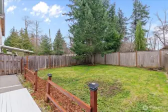 Fully fenced backyard with open lawn space and mature trees providing greenery. Level yard offers room for outdoor seating, play, or gardening.