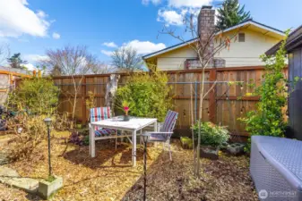 So many places for enjoying the sunshine!