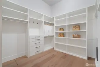 walk-in closet photo 1