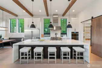 Kitchen with professional appliances, built-in micro, convection oven, 6 burner gas stove.