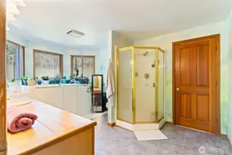Primary bathroom