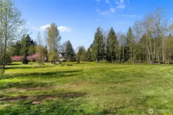 Perfect pasture for your equine friends or other livestock.