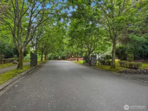 A picturesque entry with a canopy of trees lining both sides of the street.