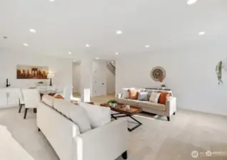 Representative photos