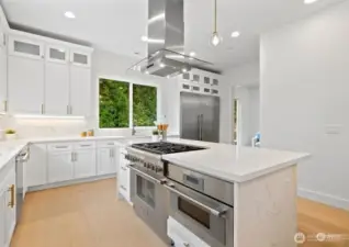 Representative photos