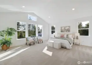 Representative photos