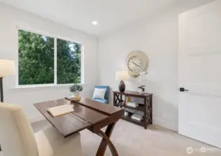 Representative photos