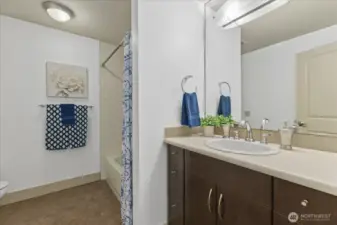 Large Full Bathroom