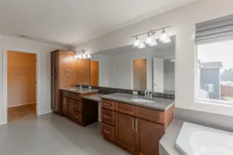 Another view of the primary bath with a walk-in closet.