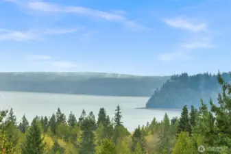 Drone view of Puget Sound.