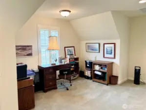 Den/office with lots of daylight. You might alternatively use this space as an in-home gym.