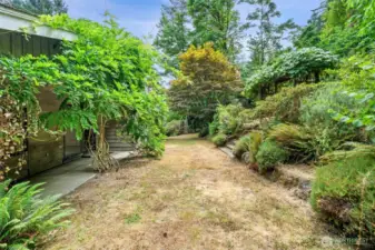 Backyard off the main living and dining areas - showing patio to left and steps to upper yard on the right. Taking this path forward leads around to the driveway.