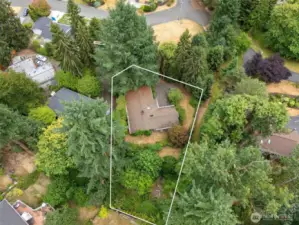 Photographers drone image outline of the approximate lot size. Please see City of Bellevue supplements for more exact outline. Generous piece of Bellevue real estate!