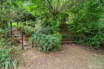 The backyard is a quiet respite - you would never guess you are just minutes from downtown Bellevue. It has that incredible old Bellevue feeling - untouched & green.