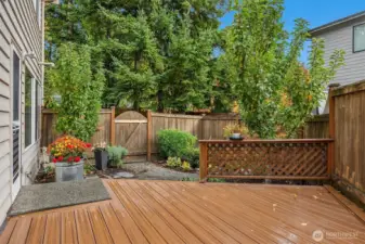 Perfect gardening and relaxing patio backyard.