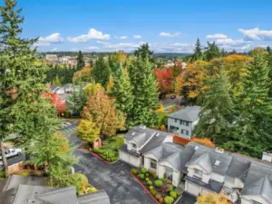 Hello Fall! Aerial view of the townhome location.