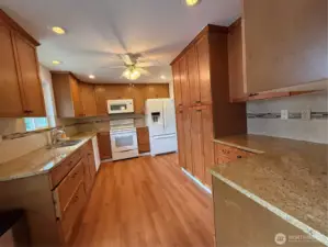 Beautiful appointed kitchen with loads of cabinets and solid surface counters
