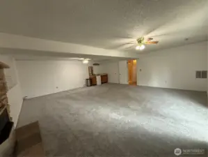 Familyroom with new carpert and kitchenette