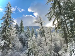 View of Mt. Osborn from property during last winter