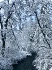 River view from property during last winter