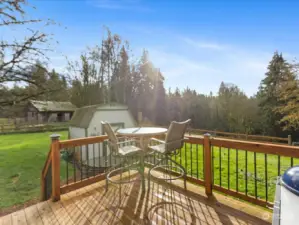 Back deck for lounging