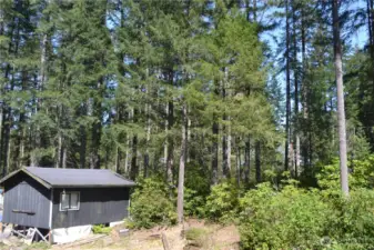Adjacent Property & Cabin Also Available
