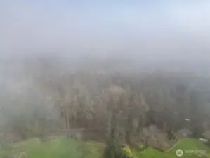 Sometimes fog rolls in! Please come have a look. Welcome to the small city of Port Townsend!