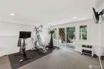 Lower level bonus room