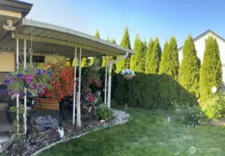 Such a sweet backyard!