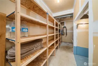 This is the mechanical room with storage beneath the stairwell, lot's of shelving, the furnace, the hot water heater and the built in vacuum system.