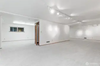 DOWNSTAIRS NEW CARPET