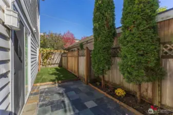 Large patio and yard