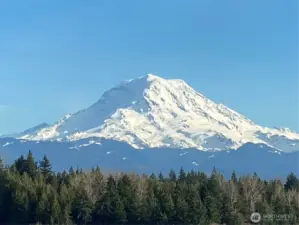 View of Mt. Rainier from the house