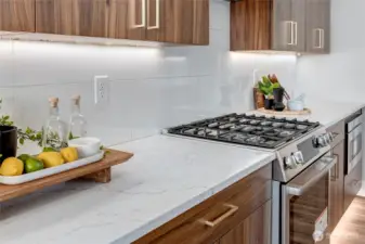 Stunning 3cm quartz throughout the home- full length backsplash! (model home lot 1A, colors may vary)