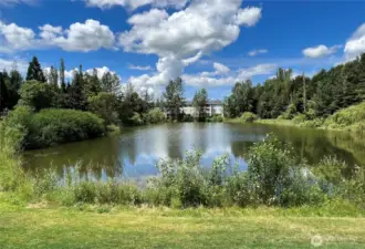 View Accross Pond opposite Direction to Condo