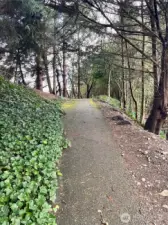 Walking Trails on the Northside of the property