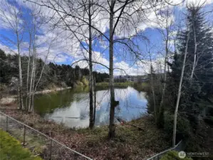 View from every window. Living room view.