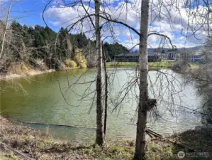 View from your windows