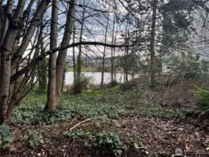 view from walking trail