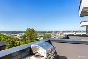 Spacious rooftop deck has lots of space, including a dedicated area for outdoor chefs and their equipment. BBQs, anyone?