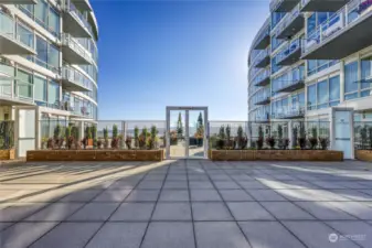 Enclosed courtyard area as seen from Washington avenue side.