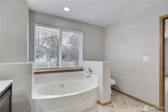 Primary soaking tub.