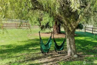 Relax in hammocks under your trees.