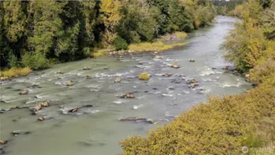 Beautiful nisqually river access.