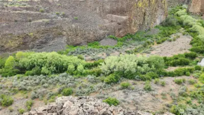 Views down into McCarteney Creek