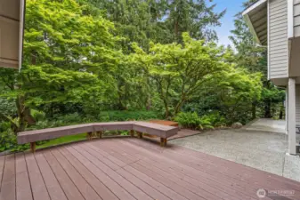 Composite deck overlooking mature trees.