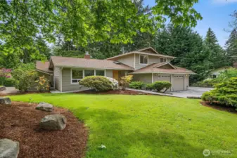 Large front yard