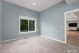 Basement Bedroom