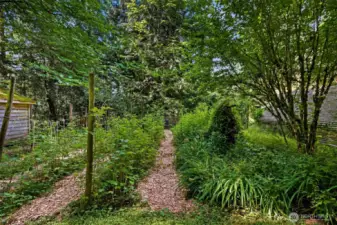 Decades old garden stocked with raspberries and ready for plenty of delicious veggies and fruits.